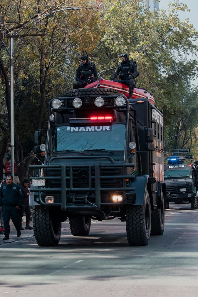  Zilele și Zonele Vizate pentru Combaterea Insectelor în Iunie 2025