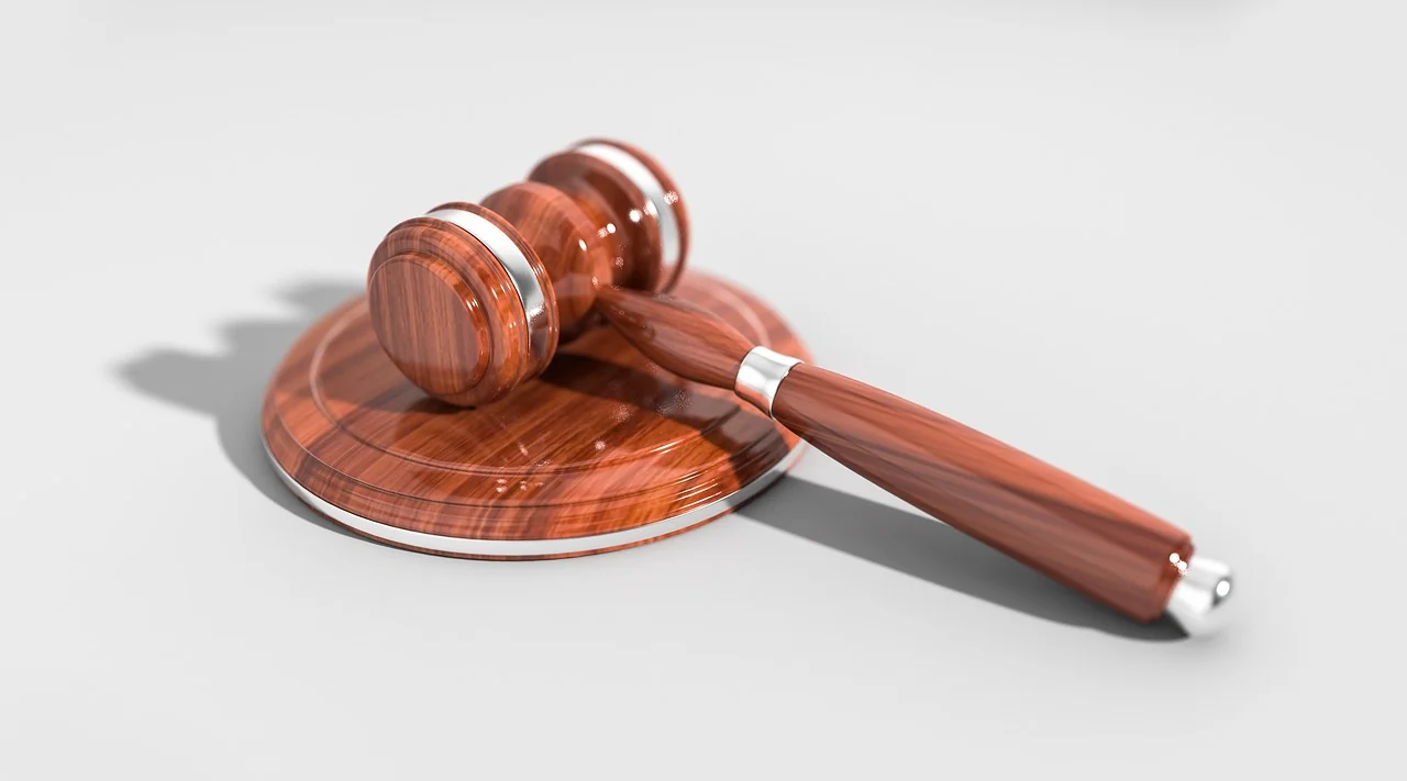 Decizie crucială a Curții de Casație: Agresiunea asupra animalelor și amenințările, pedepsite chiar și după retragerea plângerii